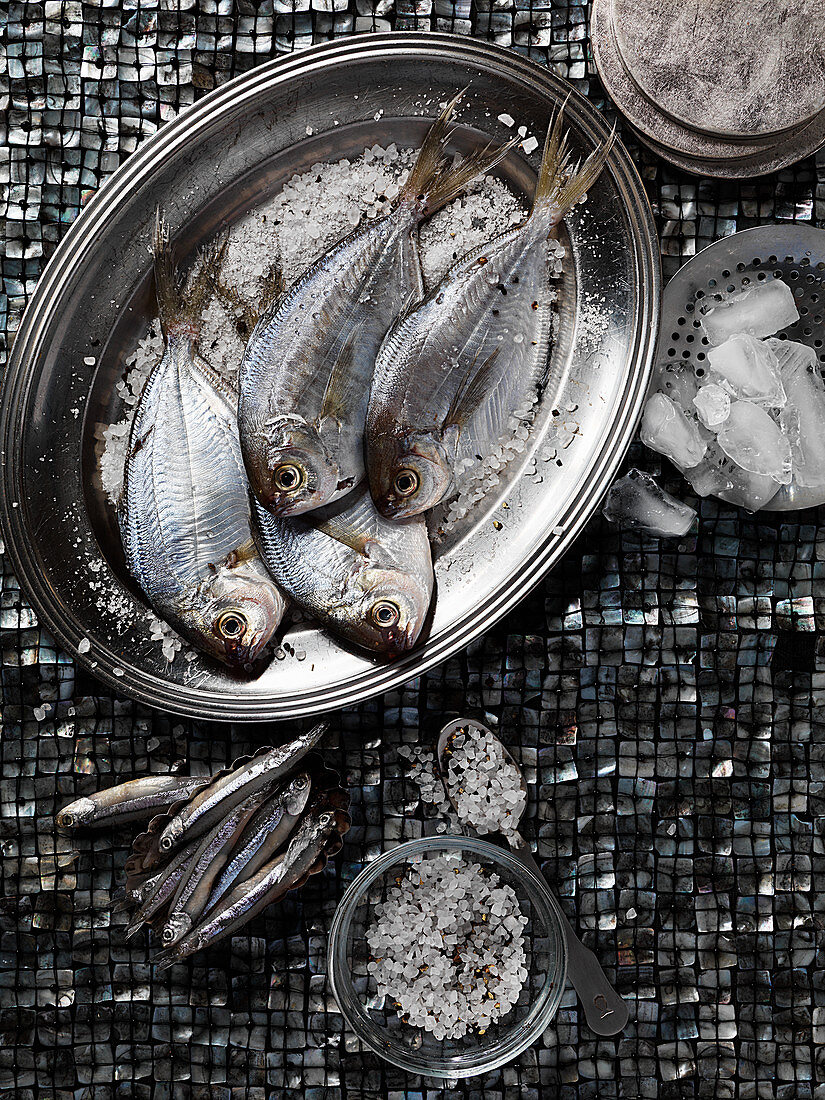 Fresh fish with coarse salt and ice on a tray against a silver mosaic background