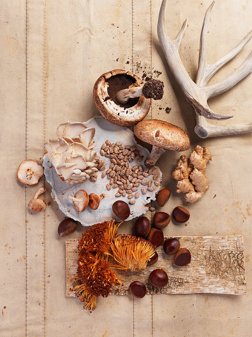 An autumnal still life with mushrooms, chestnuts and antlers (top view)