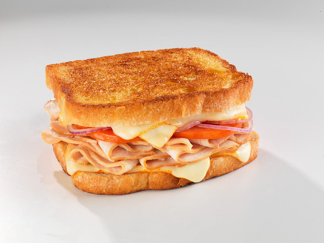 A toasted sandwich with turkey breast, cheese and tomato