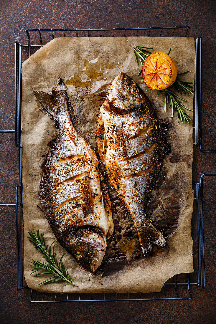 Grilled Fish Dorado on metal grill grid with lemon and rosemary on dark background