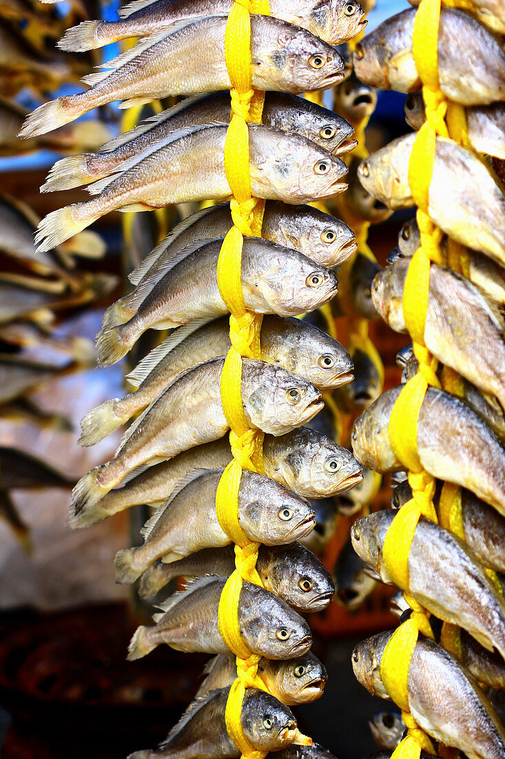 Getrocknete Gelbfische (Korea)