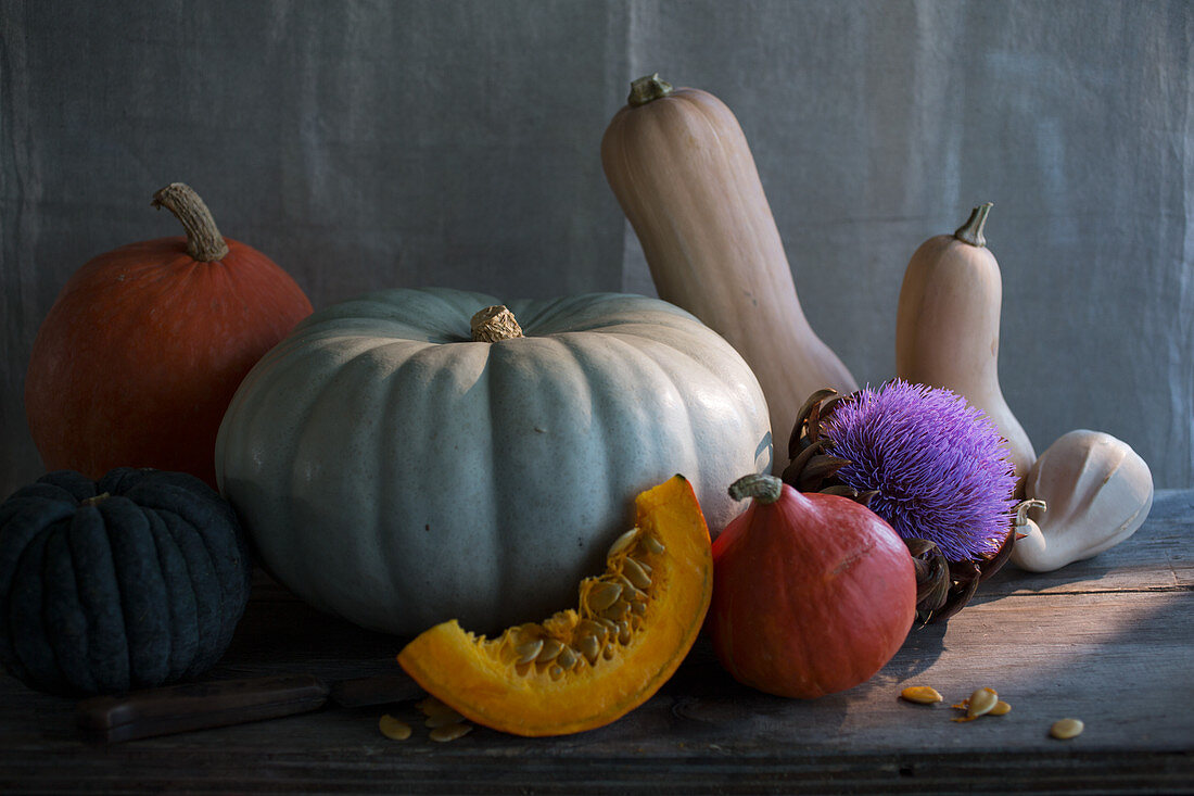 Assorted pumpkins, squashes and gourds