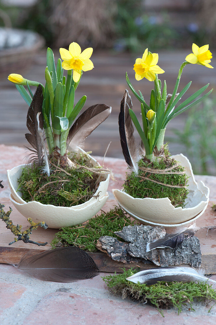 Unusual Decoration With Daffodils In Moss Balls