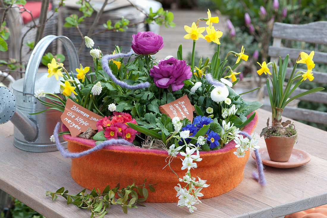 Colorful Planted Spring Peel In Felt Coat