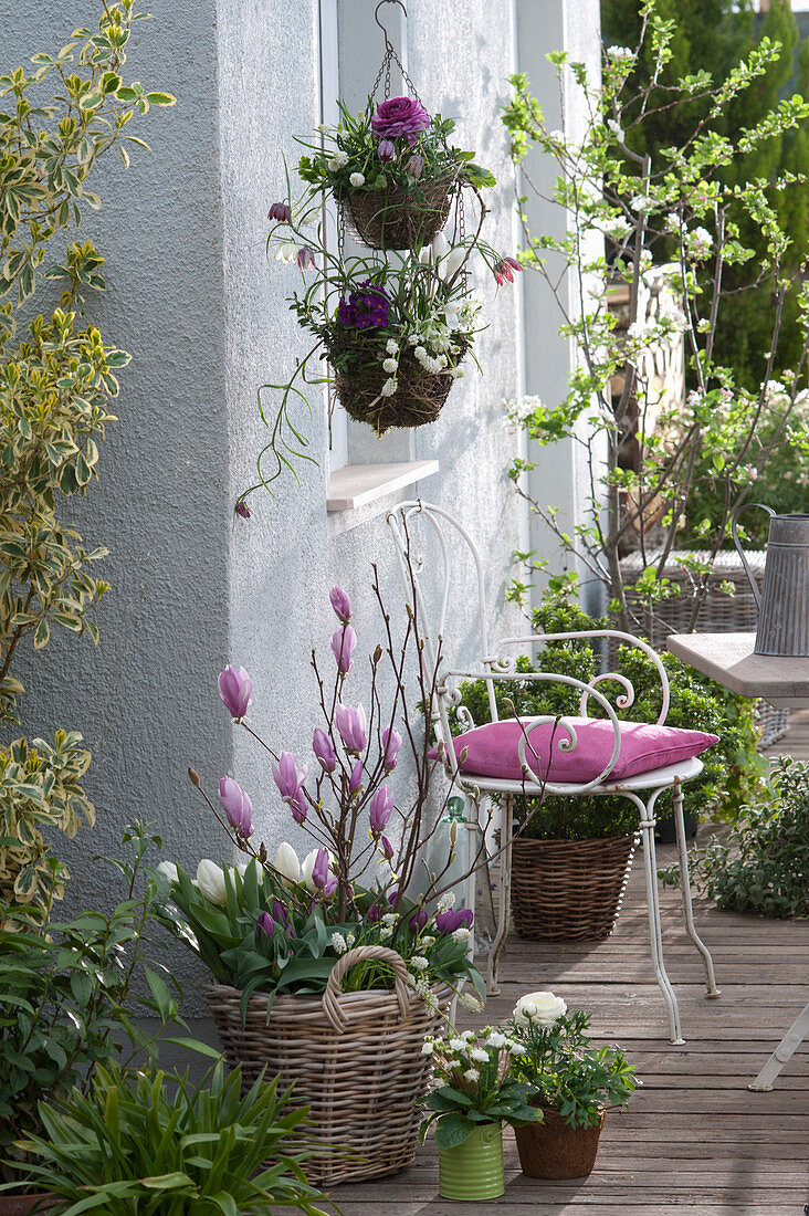Spring Terrace With Violet-White Plants