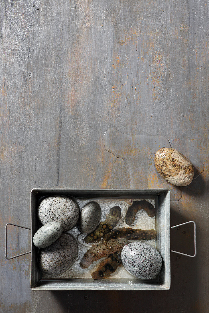 Seegurken und Steine in einem Ofenform