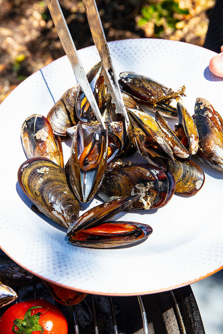 Grilled mussels