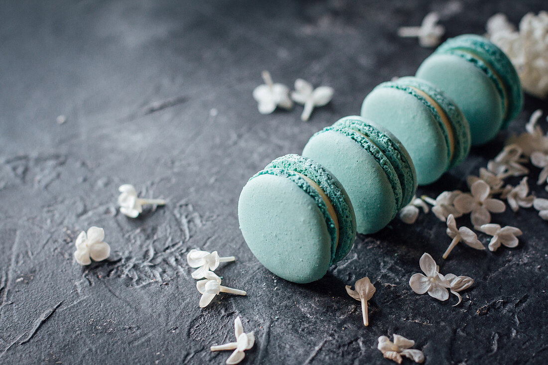 Blue macarons and white lilacs
