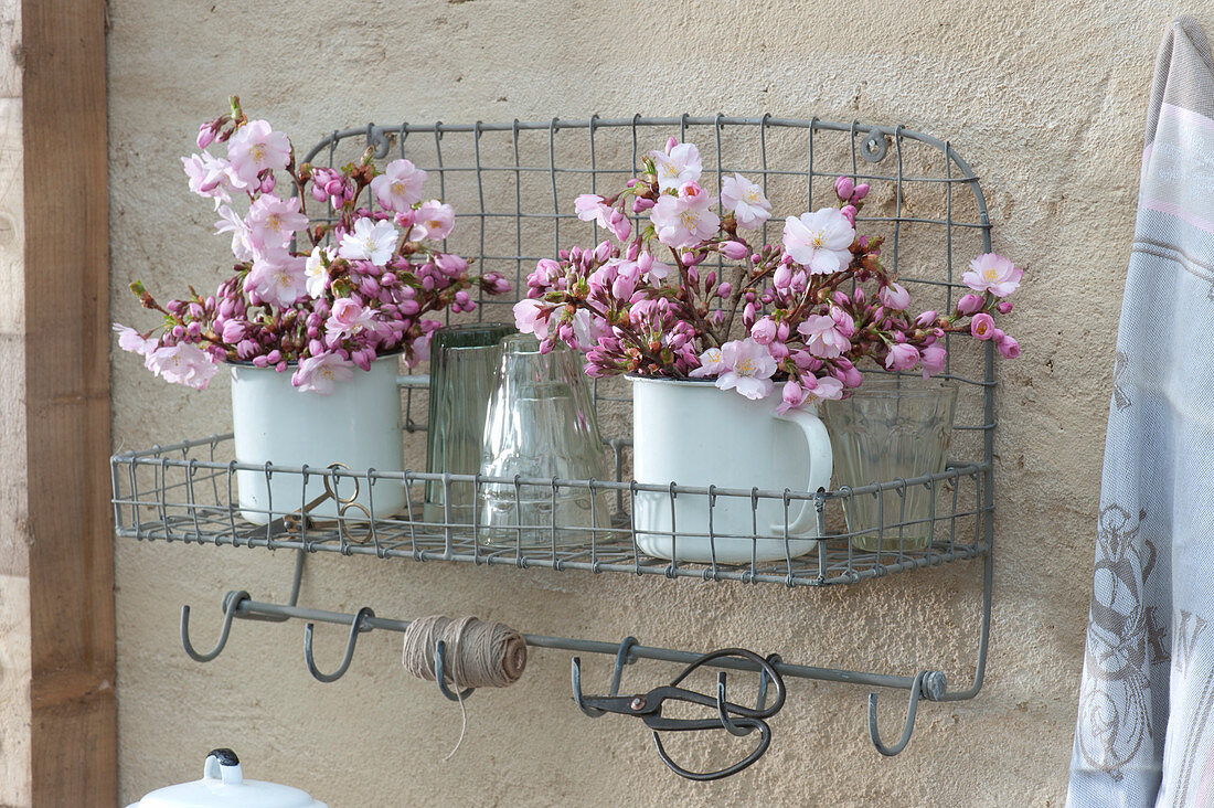 Small bouquets of advanced cherry trees