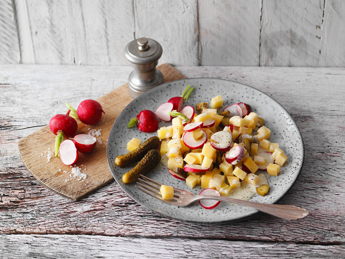 Cheese salad with gherkins and radishes (low carb)