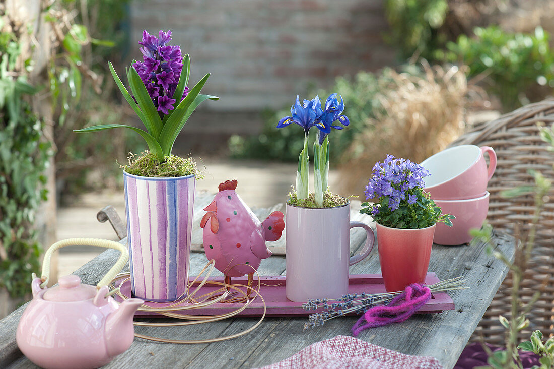 Hyacinth, net iris and bluebell as table decorations