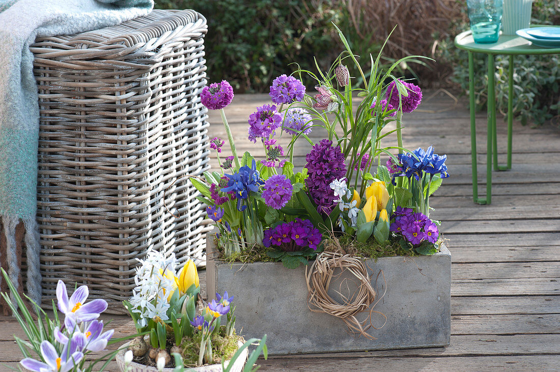 Mini spring bed in the grey box