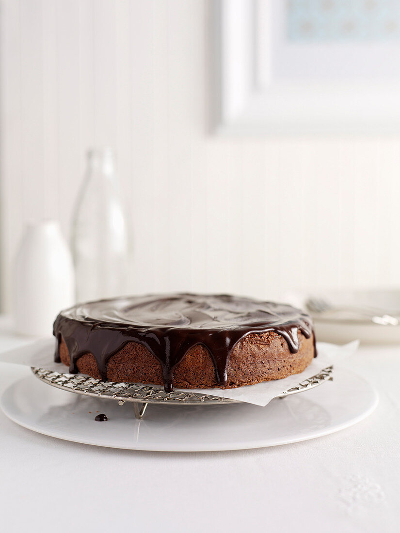 Schokoladen-Pecannuss-Torte auf Kuchengitter