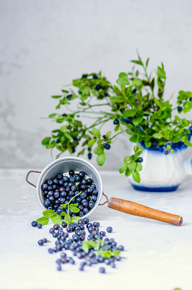 Heidelbeeren mit Blättern im Sieb und Krug