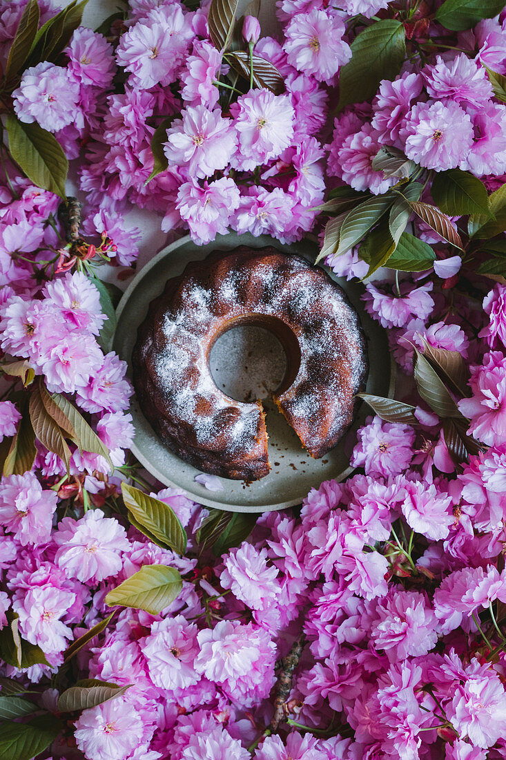 Lemon yoghurt cake with a background from pink blossoms