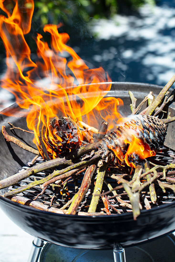 Pinecones burning on a barbecue