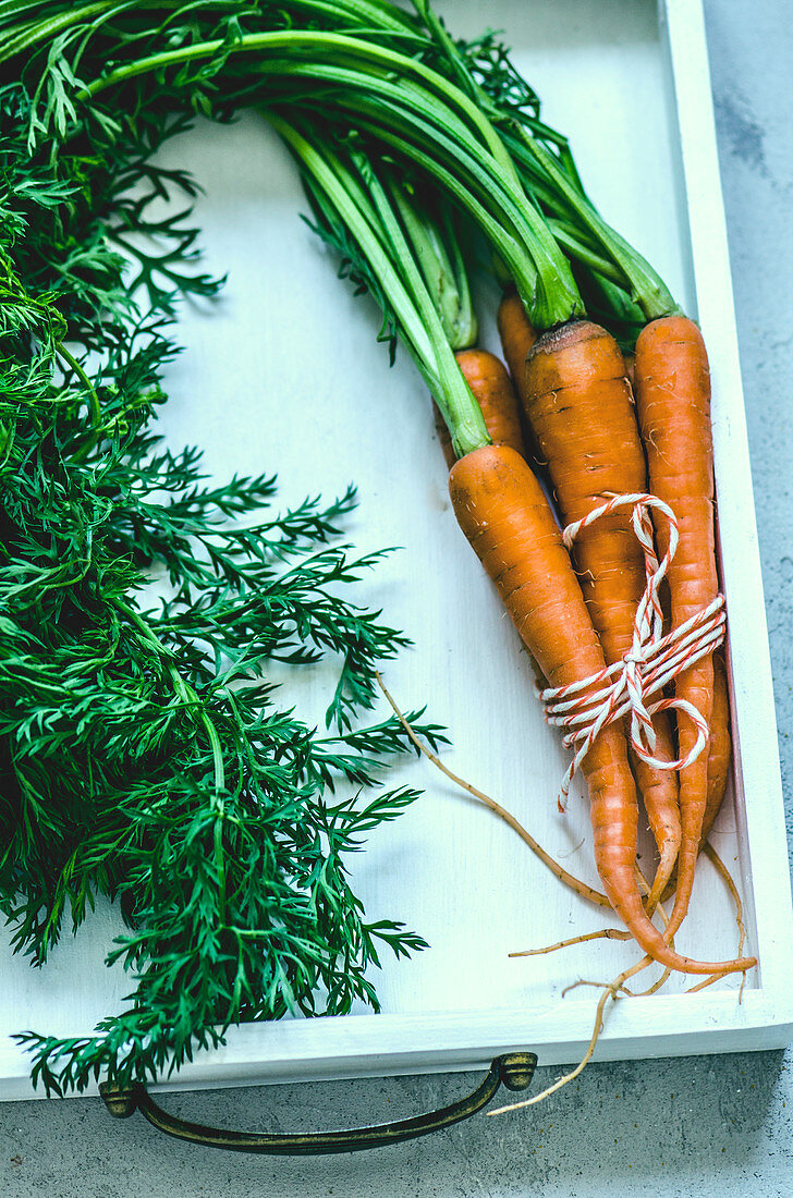 A bunch of carrots and leaves