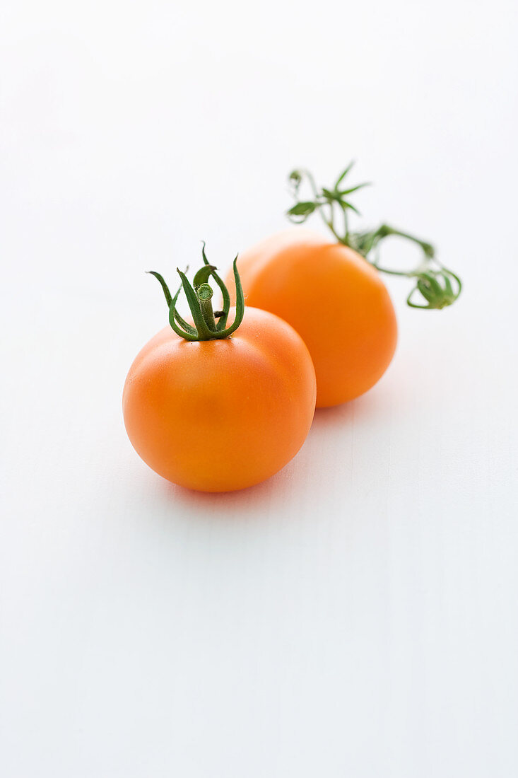 'Orange Favourite' (tomato variety)