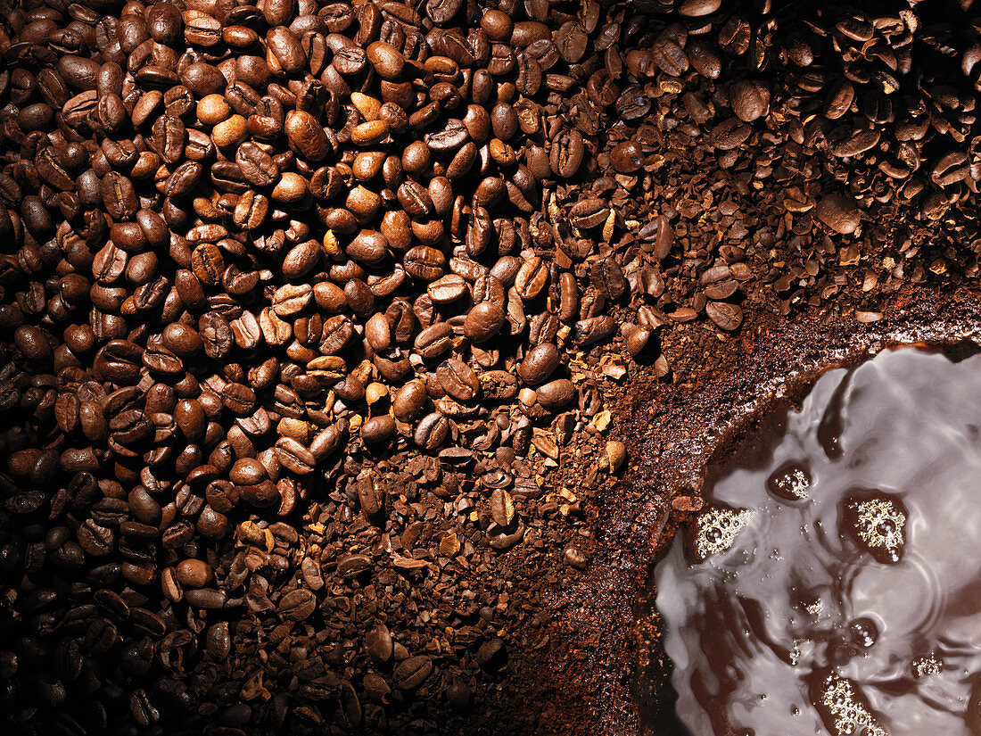 Coffee beans transition to grounds and brewed coffee, overhead landscape