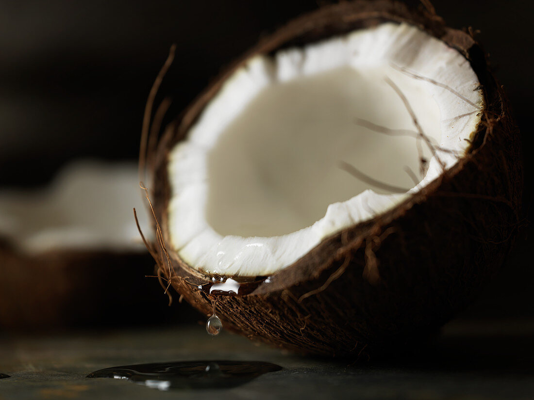 Fresh cracked coconut with drip