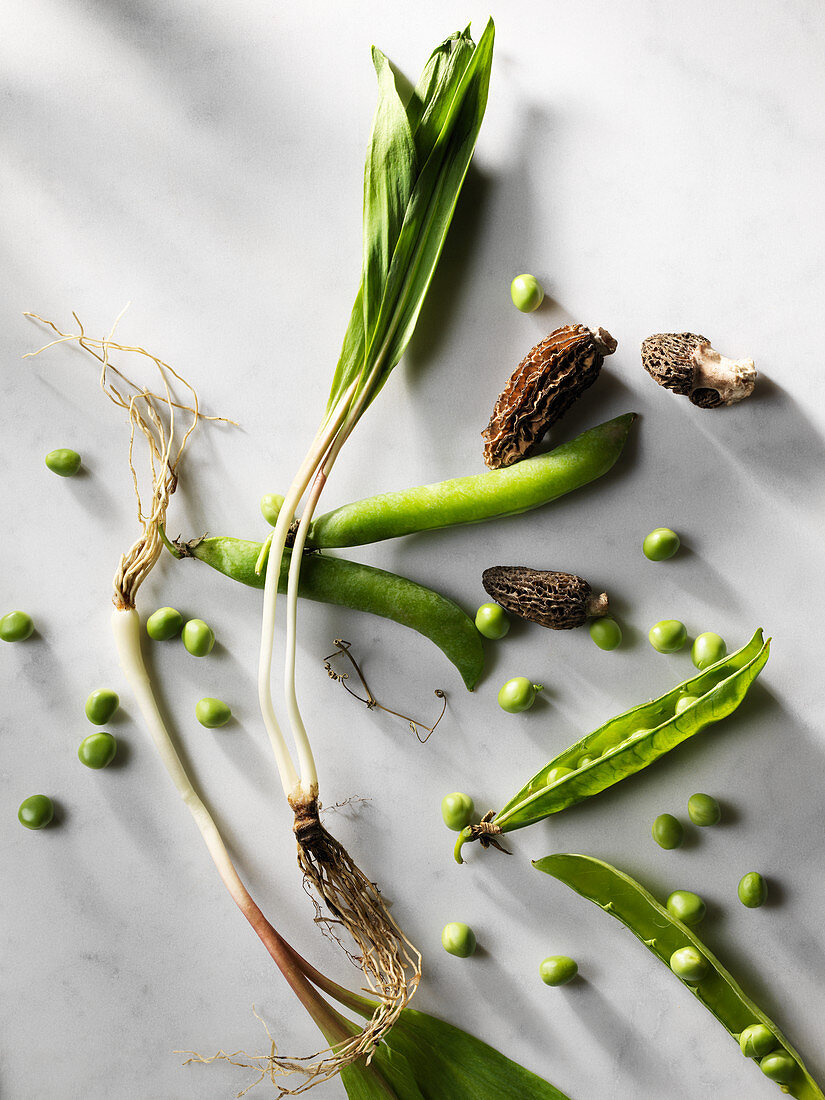 Morels, ramps and peas on marble