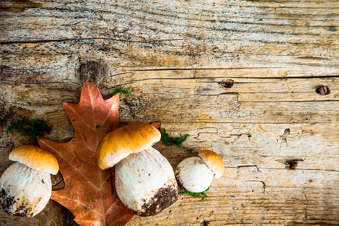 Steinpilze und Herbstlaub auf Holzuntergrund