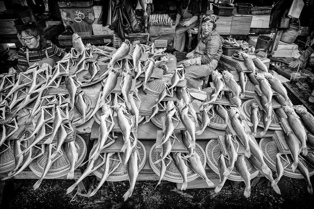 Jagalchi Fischmarkt, Busan (Südkorea)