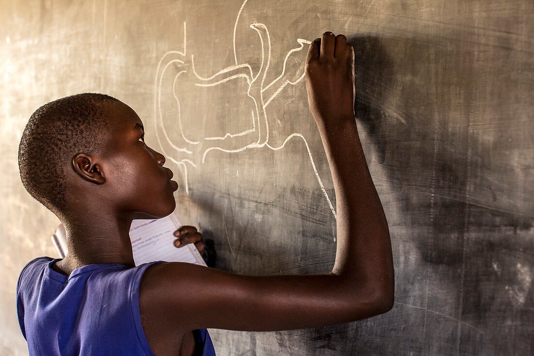 Schoolgirl drawing on a blackboard