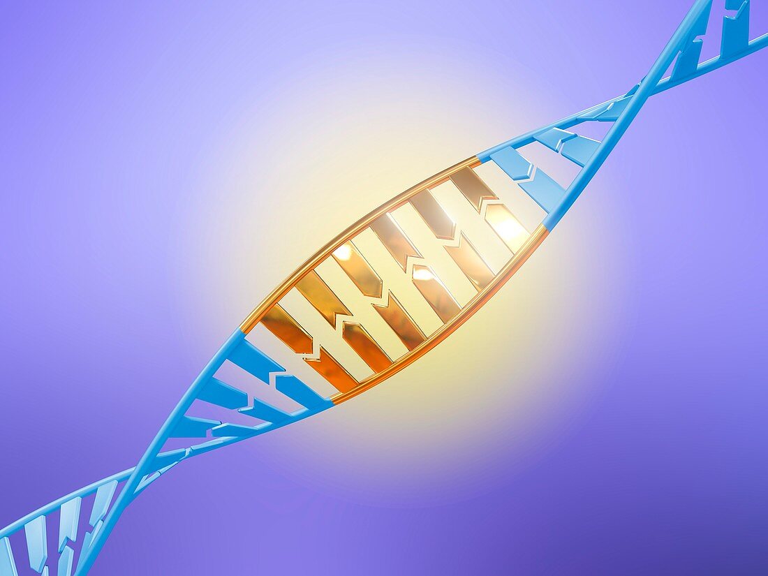 DNA editing, conceptual illustration