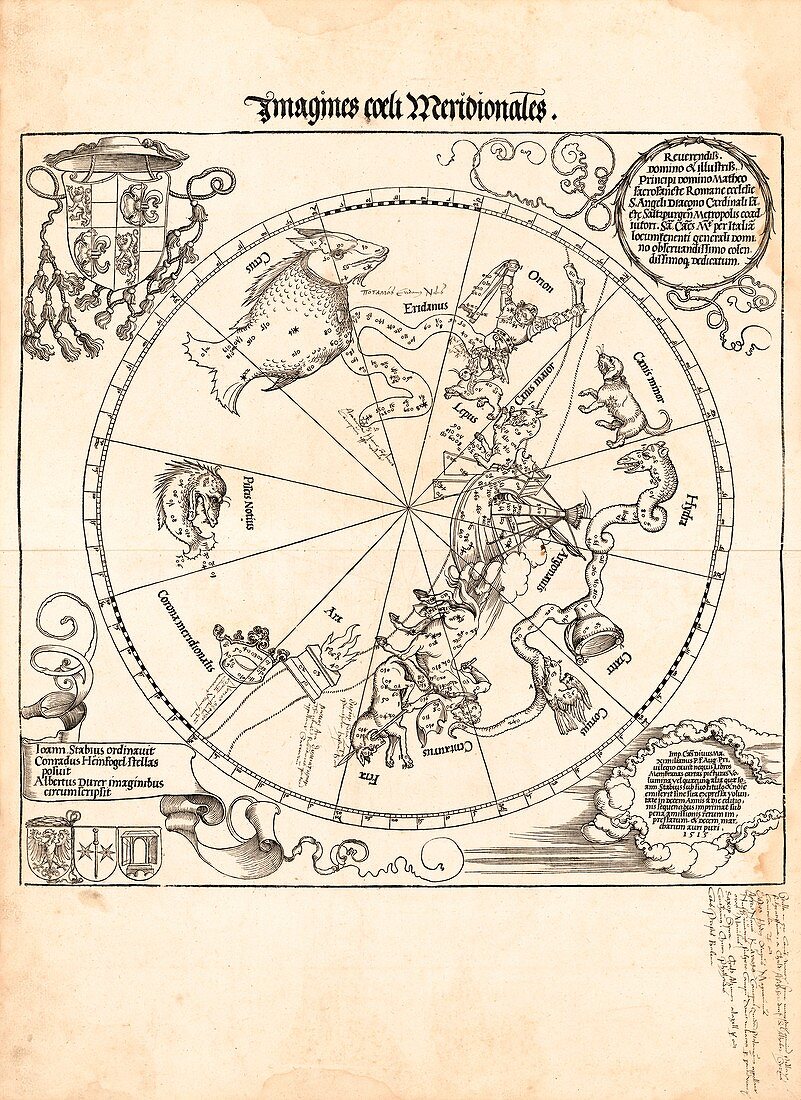 Southern star chart, 1515