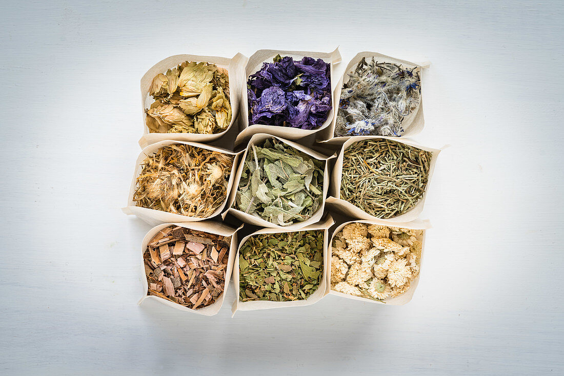 Assortment of dried plants