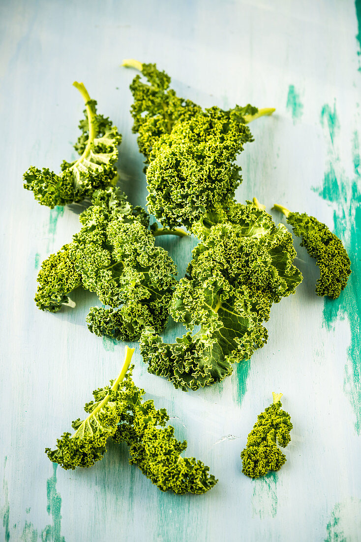 Kale (Brassica oleracea var. Sabellica L)