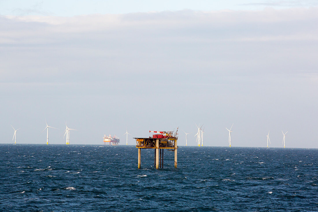 Walney Offshore Wind Farm and Morecambe Bay gas field, UK