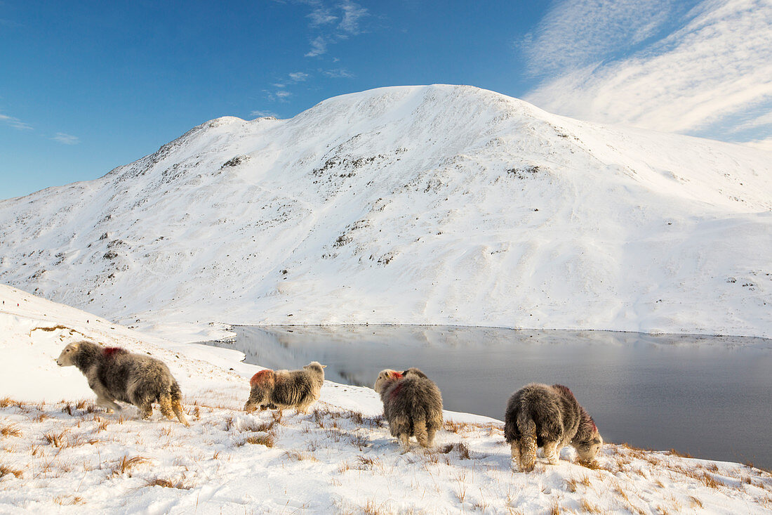 Looking across Grisedale Tarn to Fairfield, UK