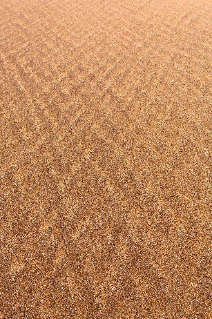 Abstract patterns in sand
