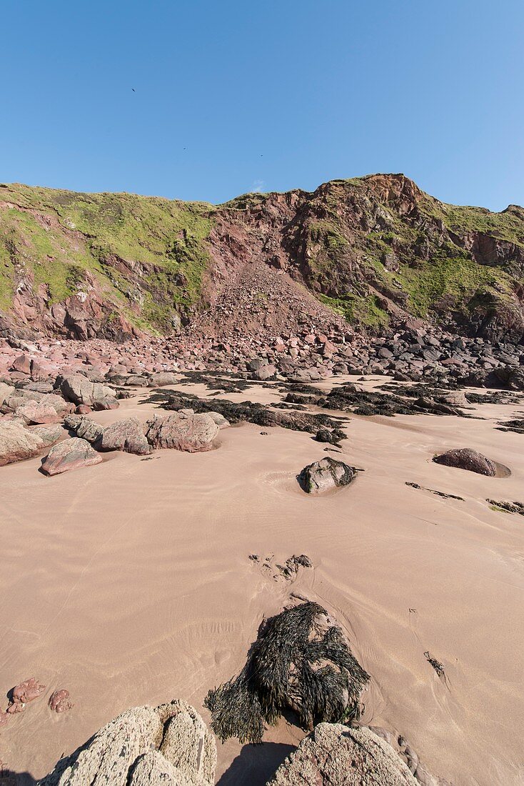 Cliff rockfall at West Dale beach, Pembrokeshire, UK