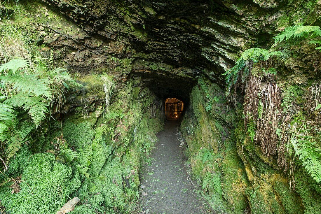 Roman adit entrance at Dolaucothi Gold Mines, Wales, UK