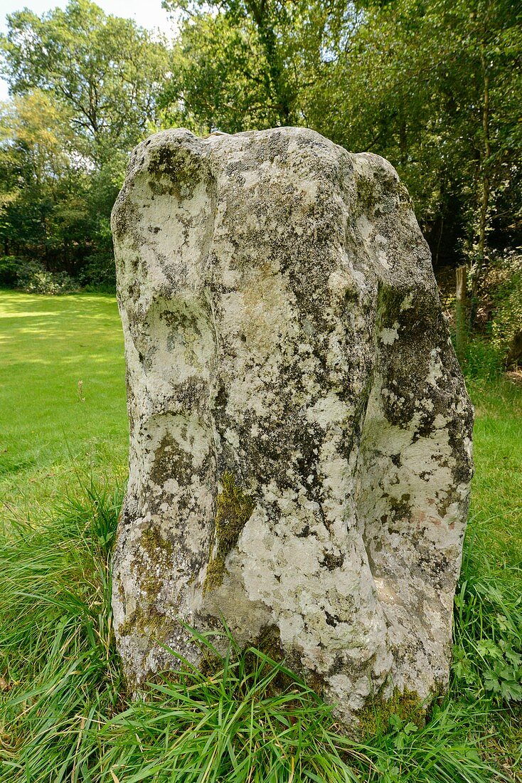 Carreg Pumsaint standing stone, Dolaucothi Gold Mines, UK