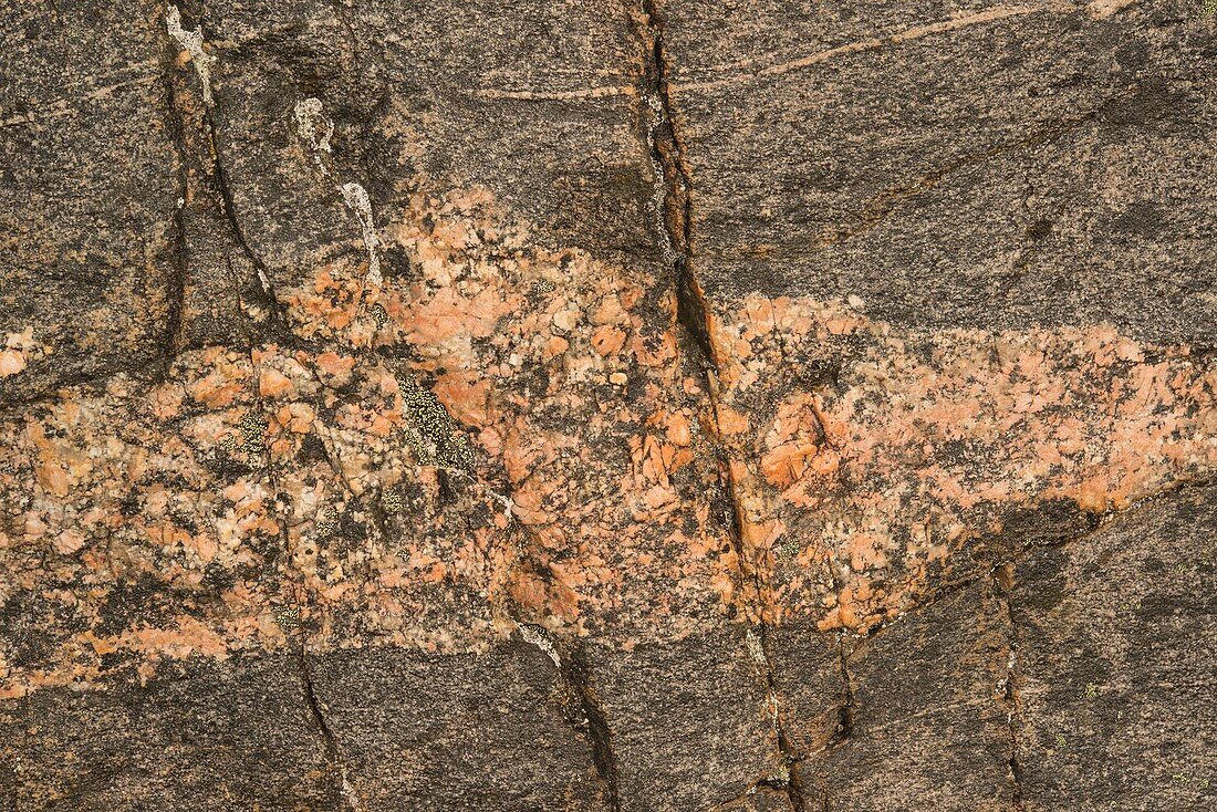 Granite gneiss, Danmark Island, Greenland