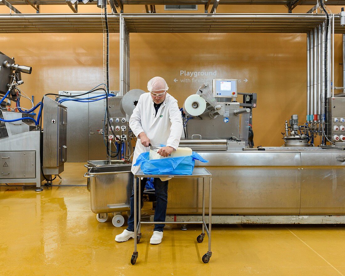 Preparing prototype milk-based food products