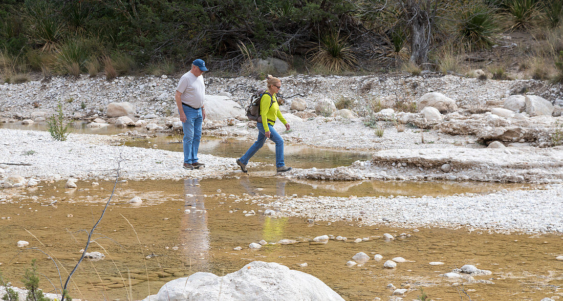 Guadalupe Mountains National Park, Texas, USA