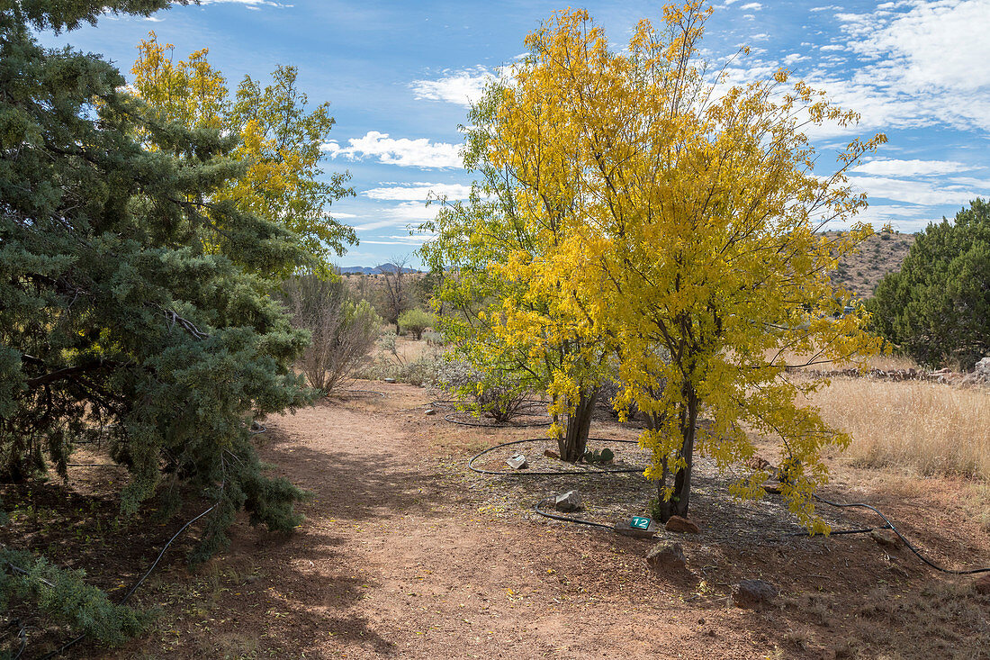 Chihuahuan Desert Research Institute, USA