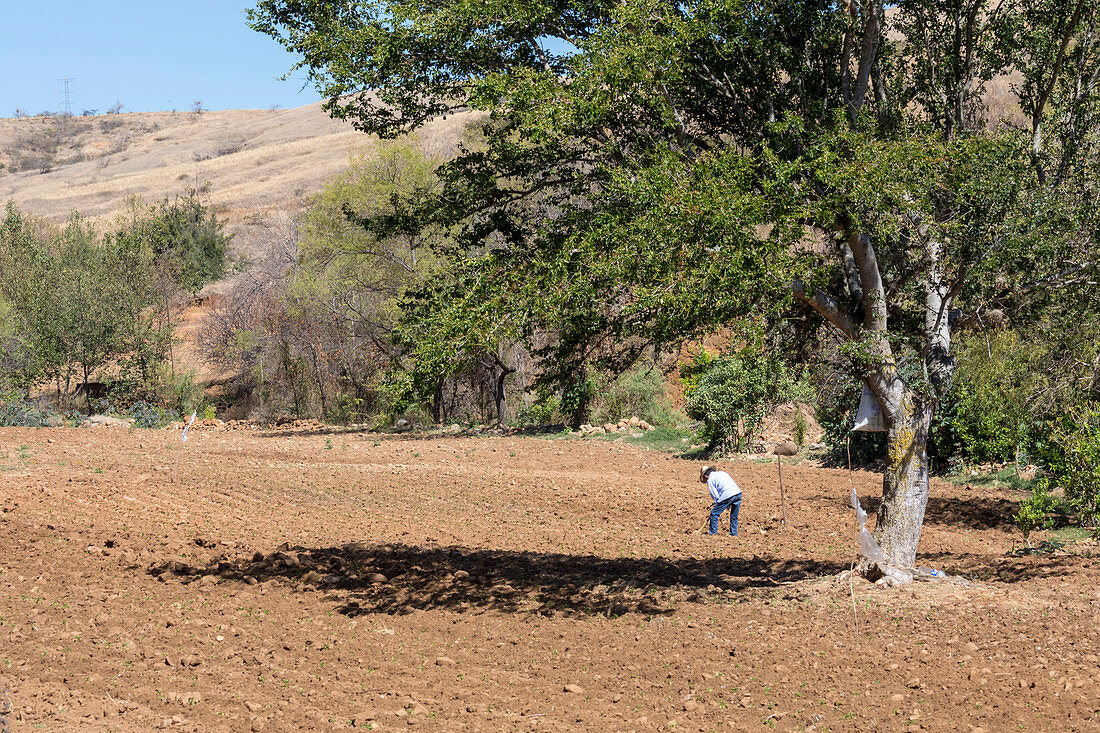 Farming in Oaxaca, Mexico