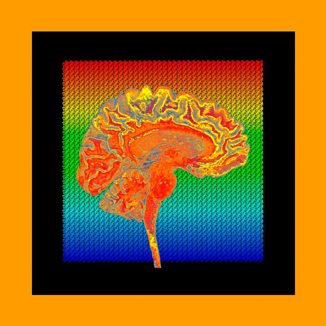 Human brain abstract, sagittal MRI scan