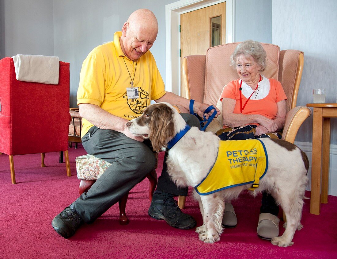Care home pet therapy