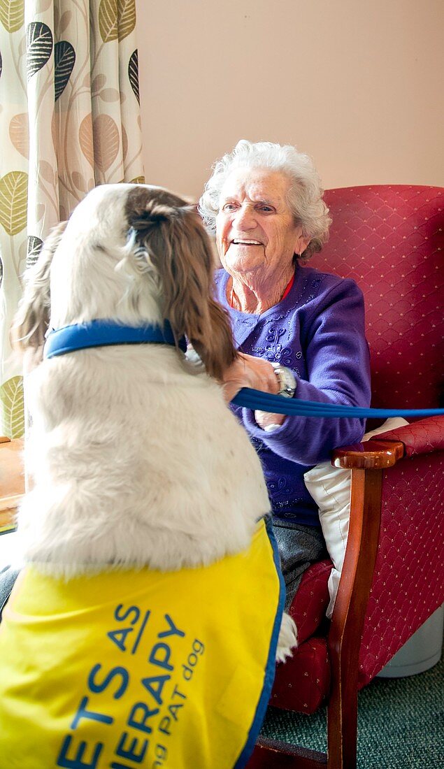 Care home pet therapy