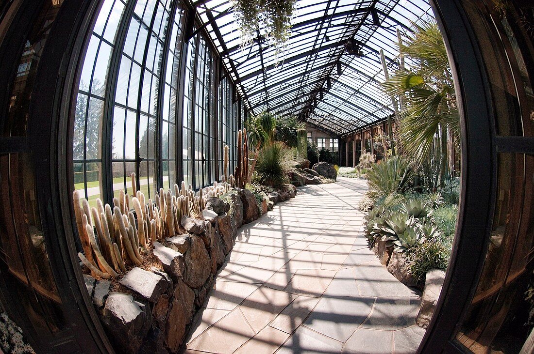 Glasshouse of tropical plants