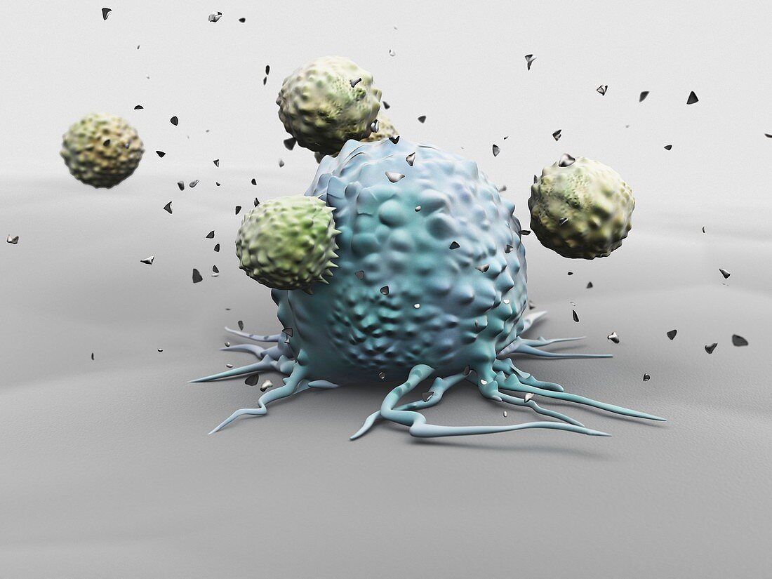 Natural killer cells attacking cancer, illustration