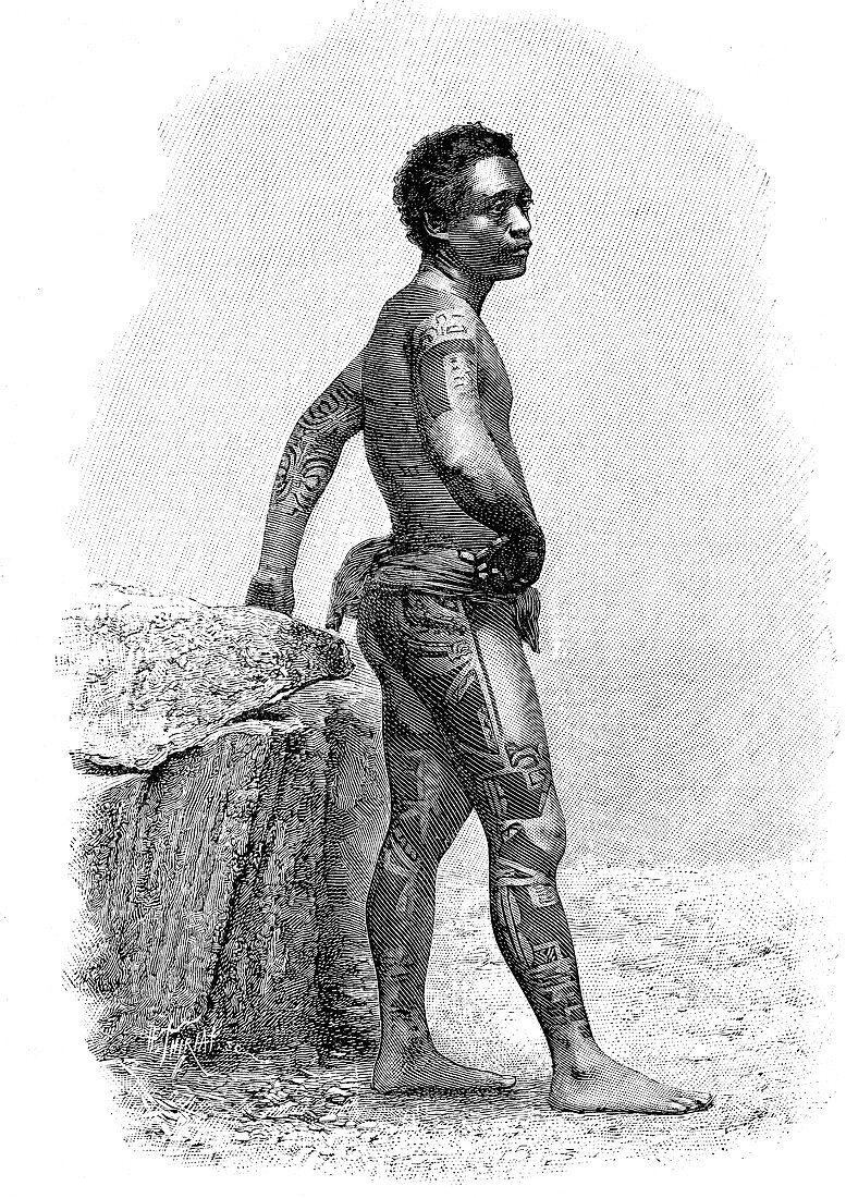 19th Century Marquesas man, illustration