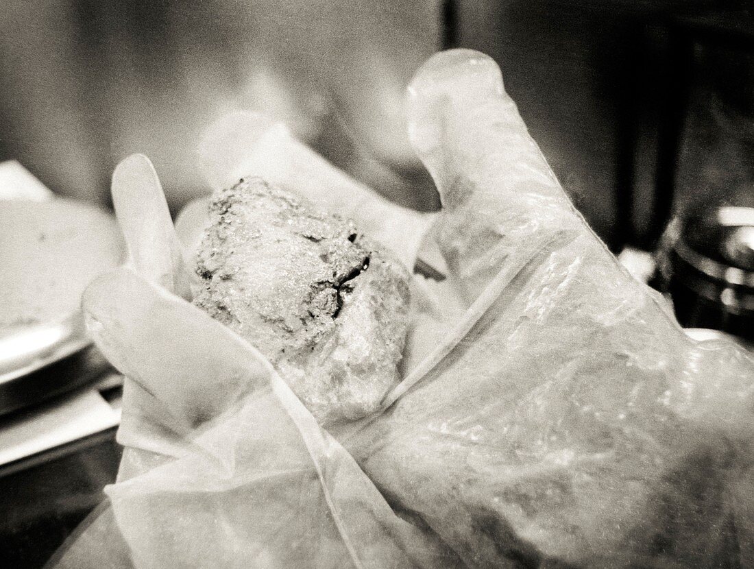 Moon rock in the Lunar Receiving Laboratory, 1969